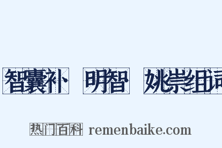 智囊补·明智·姚崇组词是什么意思的图片